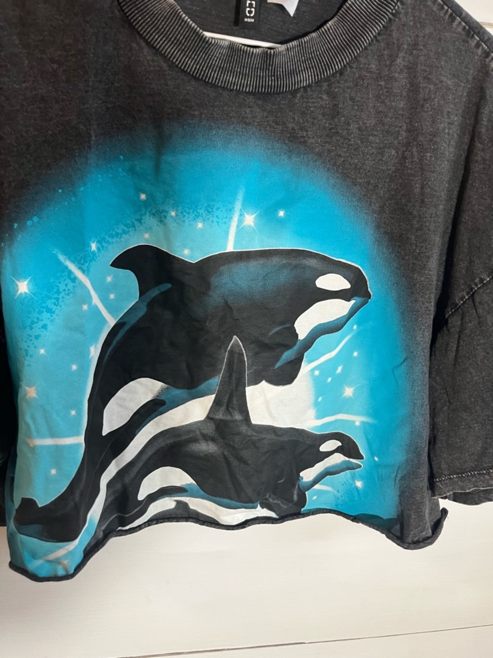 Divided Orca Graphic Crop Tee - Picture 3 of 4